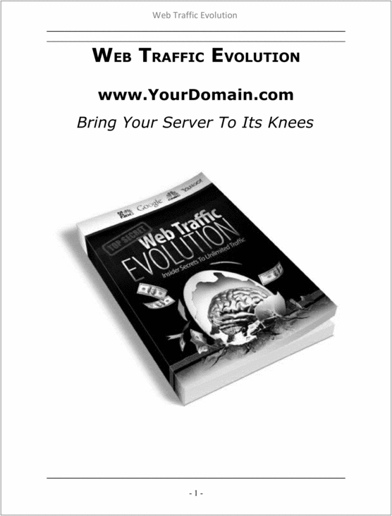 Product picture Web Traffic Evolutions